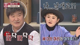 (프로 뻥 토커) 집을 부순 이계인에 날개로 때린 새 가족(?) 냉장고를 부탁해 166회