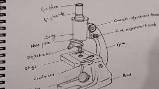 How to Draw Microscopic || Compound Microscope || Microscope Drawing #microscopedrawing