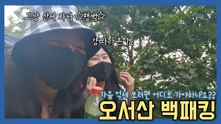 왕초보 백패커 두여자의 오서산⛰ 체험기 (쉰질바위 최단루트~오서산정상)