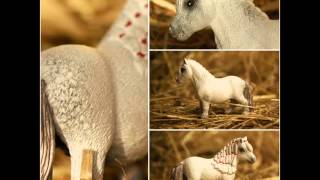 realistische foto's (schleich paarden)