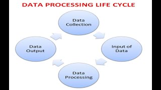 Unveiling The Data Processing Cycle