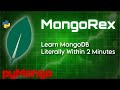 Learn MongoRex: Python MongoDB in Just 2 Minutes with Python!