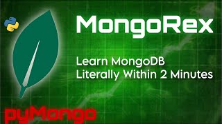 Learn MongoRex: Python MongoDB in Just 2 Minutes with Python!