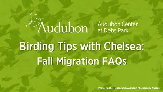 Fall Migration is Upon Us!