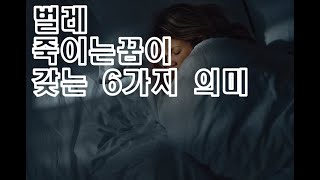 벌레 곤충 잡는꿈, 죽이는꿈 해몽! 길몽일까 흉몽일까?(dream interpretation of killing bugs)