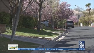 Homeowner shoots at would-be burglar in Summerlin neighborhood