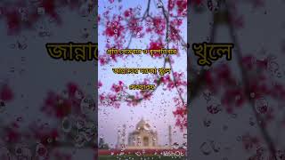 প্রতি সোমবার ও বৃস্পতিবার জান্নাতের #new #motivation #sortvideo.....