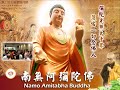 【同步】净土宗网络念佛【第1804天】 开示视频《念佛不思议》 24 02 2025 online recitation session（晚上8pm 9pm gmt 8 【打开cc字幕】