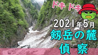 【剱岳の麓・白萩川偵察】2021年5月下旬【行った気になる登山動画】