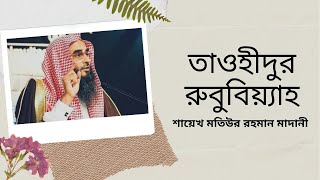 তাওহীদুর রুবুবিয়্যাহ ।। নাজাত প্রাপ্ত দলের আক্বীদাহ্ ।। পর্বঃ ২১