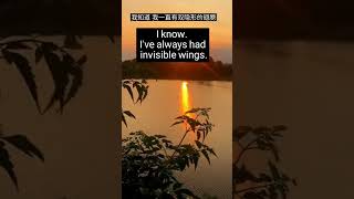 隐形的翅膀Invisible Wings＃张韶涵＃cover #With English translation