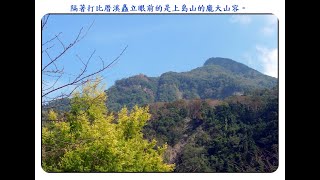 千年櫸木步道登洗水山