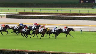 【現地】ロッソランパンテ メイクデビュー東京 2歳新馬