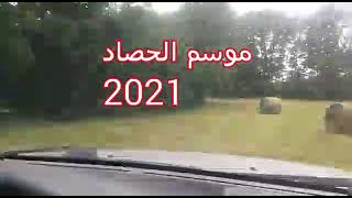 موسم الحصاد بأوروبا 2021