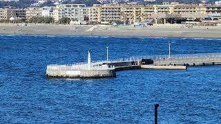 杉山検校の墓 藤沢市江の島2丁目 2024/01/09