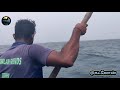 தூண்டில் போட்டு கேறை மீன் பிடித்தல்.catching yellow fin tuna.