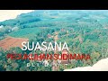 Suasana Pedukuhan Sudimara Dusun IV Desa Restu Rahayu - DJI Spark - Bli Div