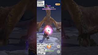 MHN　カニバヘビィボウガンG10-5　回避装填　ティガレクッスを倒す