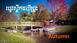 រដូវស្លឹកឈើជ្រុះ The beauty of Autumn🍁