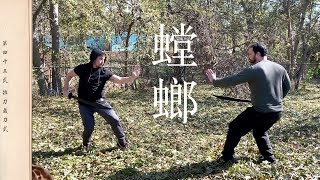 Yan Qing Dao Sword Application 燕青單刀 黃漢勛 - Wong Hon Fan Praying Mantis 螳螂拳