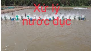 xử lý nước đục????? bà con không nên chủ quan nhé