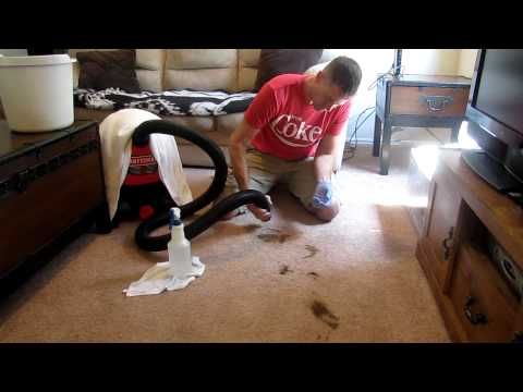How to clean poop out of carpet How to clean poop out of carpet