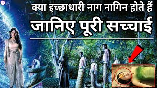 क्या इच्छाधारी नाग नागिन होते हैं जानिए इस सच को | Kya Ichchadhari Nag Nagin Hote Hain