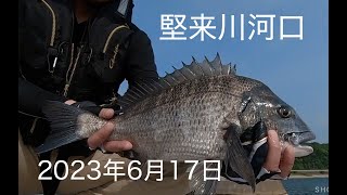 20230617フカセ釣り（チヌ釣り）大分県国東市堅来川河口