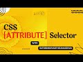 CSS ATTRIBUTE SELECTOR