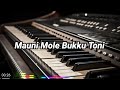 Lagu Bugis - Mauni Mole Bukku Toni || Cipt. Ratih Indrianto