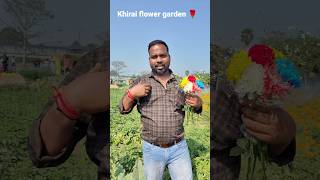 ক্ষীরাই ফুলের বাগান || Khirai flower garden 💐🥀🌷🌹 #khirai #westbengal #funny #youtubeshorts