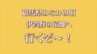 伊賀野の花畑への道　月夜野インターから