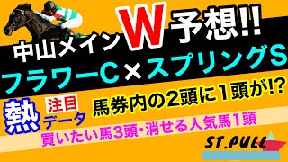 【フラワーカップ\u0026スプリングステークス2021】中山メインダブル回顧!!買いたい馬3頭と消せる人気馬1頭について(競馬予想)