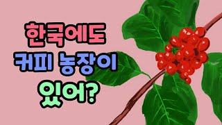 [커피 스터디 #2] 한국에도 커피 농장이 있어?