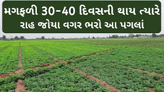 મગફળીના પાકમાં 30-40 દિવસે કરવાની માવજત | Groundnut | Magfadi | Fug | Tikka | Agriscience