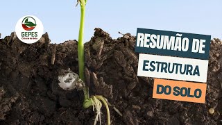 Resumão: Estrutura do solo