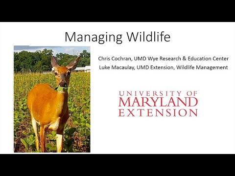 Bay Fruit School 2023 Wildlife Control Qactv