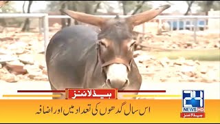 Number Of Donkeys In Pakistan Increased | 7am News Headlines | 11 June 2021 | 24 News HD
