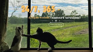 [ 1 hour] elijah woods - 24/7, 365 (sunset session)