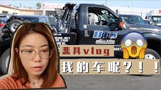 VLOG • 时隔一个月 终于回美国了😢结果发现车不见了？！！