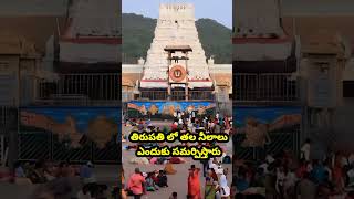 తిరుపతి లో తల నీలాలు ఎందుకు సమర్పిస్తారు #govinda #tirupatibalaji #tirupati #short