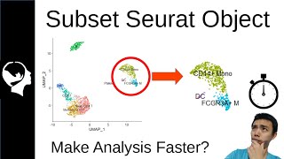 Subset Clusters in Seurat