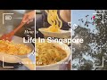 Cook At Home (WFH edition)•Week In My Life• Life in Singapore🏡 Laksa Fried Rice, Chinese Garden