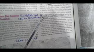 Acellular and cellular Cementum/Tenant's part2 Oral Histo Guidelines