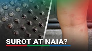 Bedbugs at NAIA? 'Surot' reports bite airport | ABS CBN News