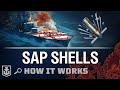 How it Works: SAP Shells