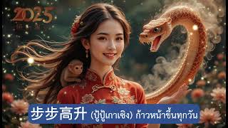 สุขสันต์วันตรุษจีน (The Joy of Chinese New Year) 🏮