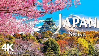 Spring Japan 4K Ultra HD 🌸 Scenic Relaxation Film, Stunning Cherry Blossoms with Calming Music