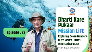 Dharti Kare Pukaar | Ocean Wonders: Olive Ridley Turtles \u0026 Horseshoe Crabs | MIke Pandey | Ep # 23