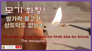 #모기화형 #내발가락을물고간모기 #Themosquitobitmytoes #mosquitoburningtype #蚊火刑 #Lửamuỗi #ทรมานยุง